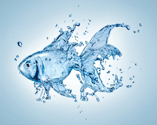 Złota rybka wody — Zdjęcie stockowe