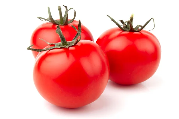 Pomodori — Foto Stock