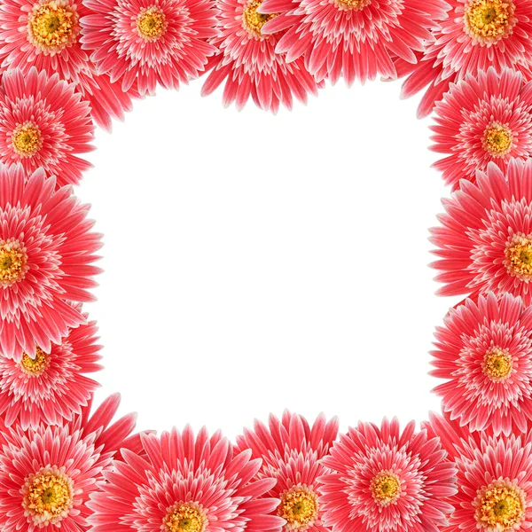 Rand van bloemen — Stockfoto