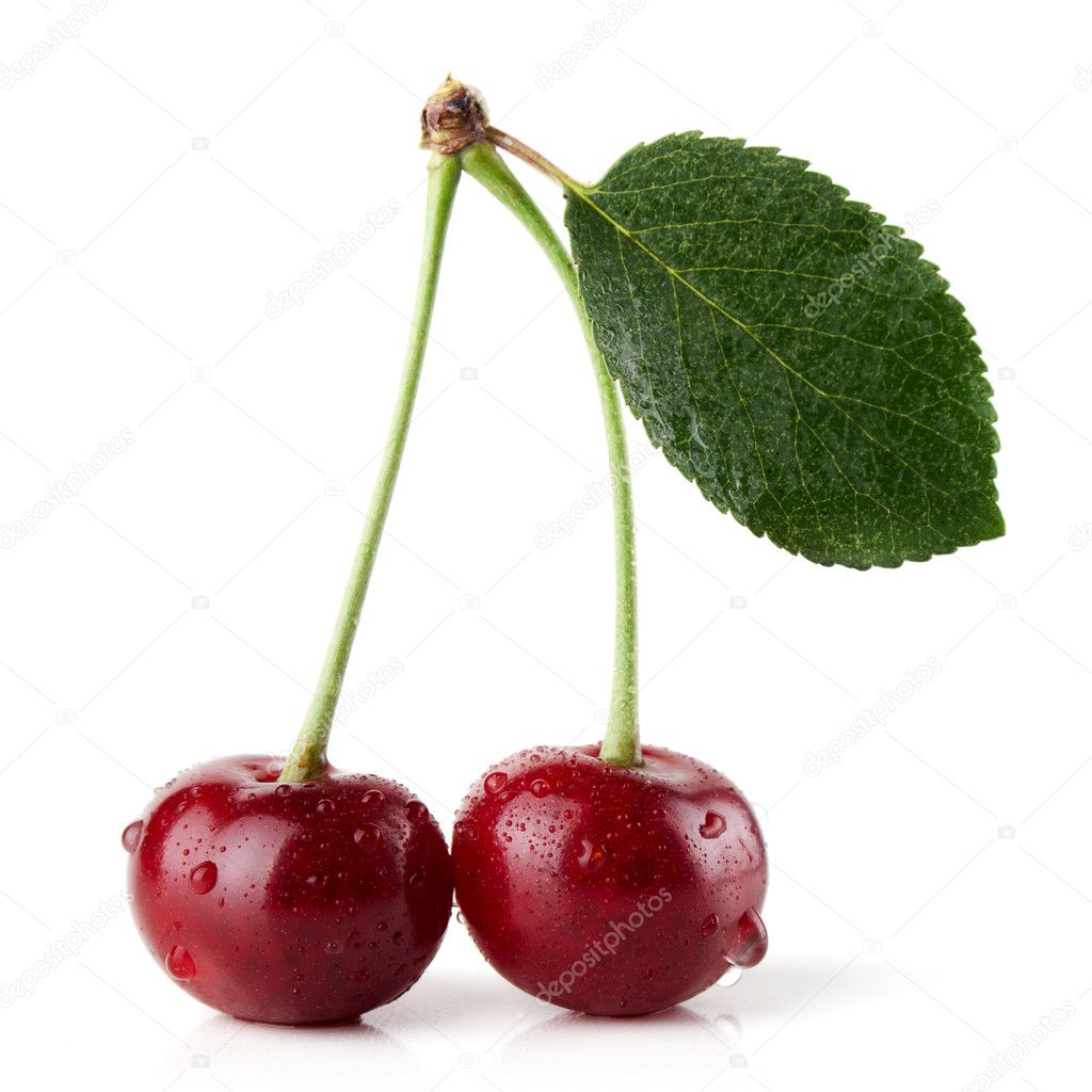 Cherry — Stock Photo © korovin 8078082
