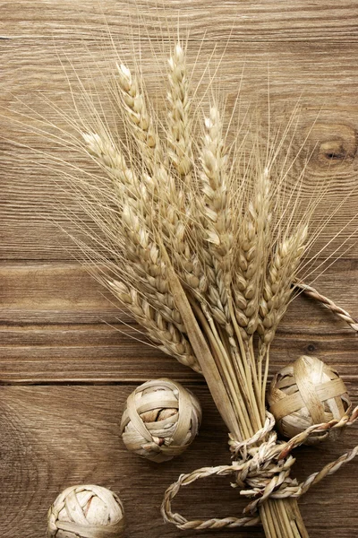 Спайк пшениці — стокове фото