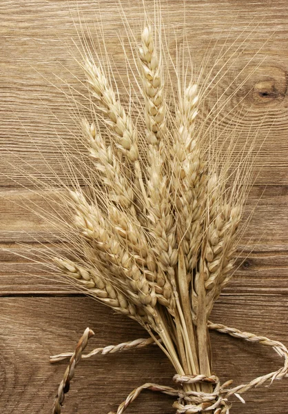 Spike of wheat — Stock Photo, Image