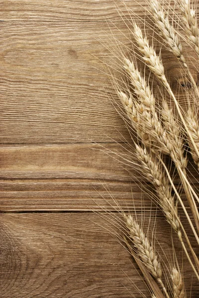Buğday Başak — Stok fotoğraf