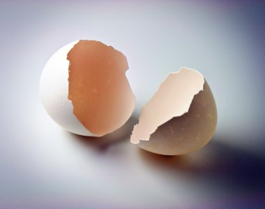 Eggshell clipart