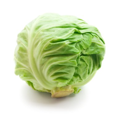 Cabbage clipart