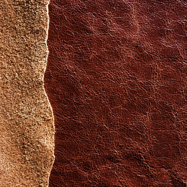 Leather texture — Stock Photo, Image