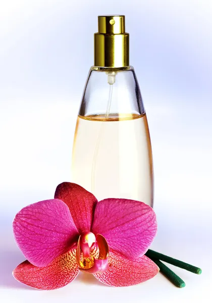 Flaschen und Blumen — Stockfoto