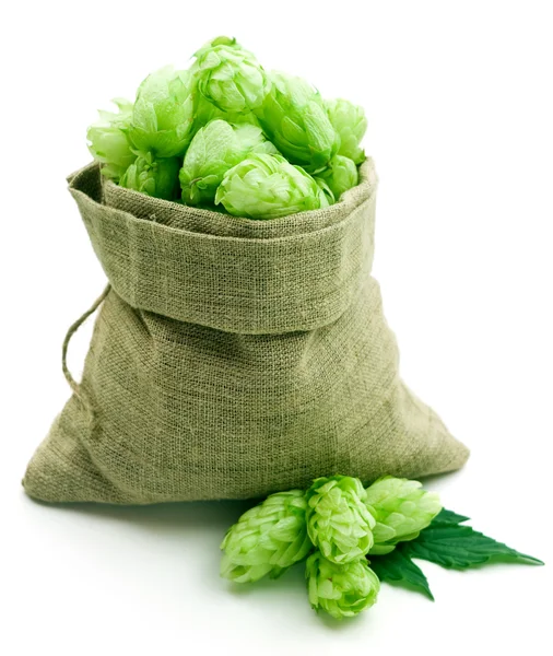 Hop in a burlap bag — Stock Photo, Image