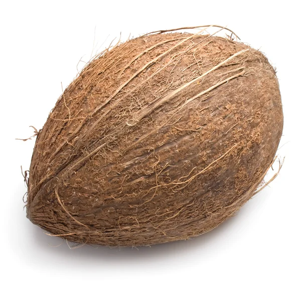 Stock image Coconut