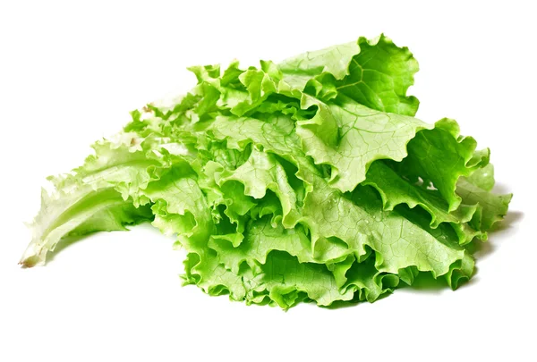 Salatblätter — Stockfoto