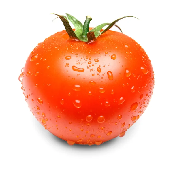 Tomaten — Stockfoto