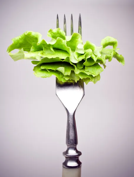 stock image Salad on a fork