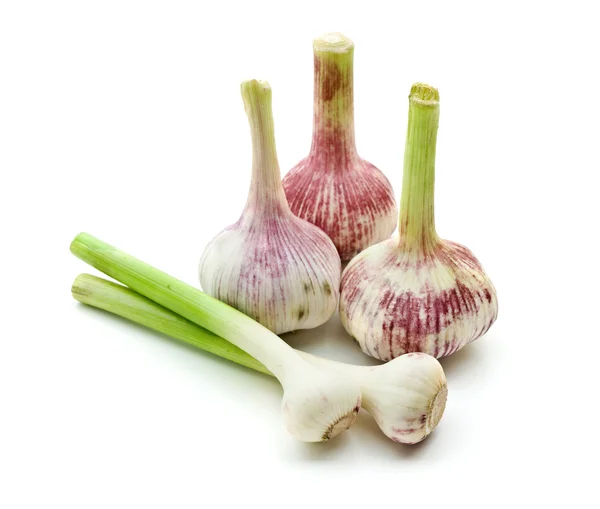 Young garlic — Stock Photo, Image