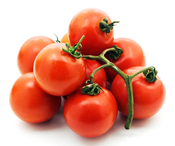 Tomate — Foto de Stock