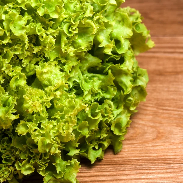 Zöld saláta saláta — Stock Fotó