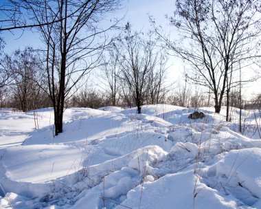 Winter landscape clipart