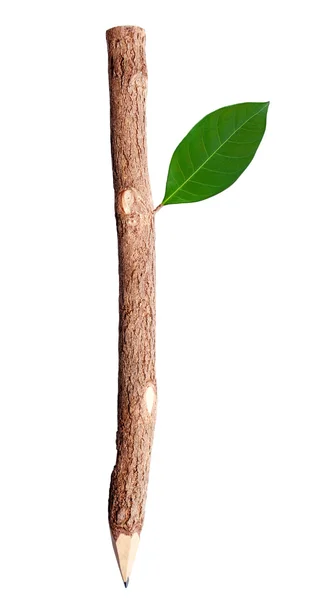 Ołówek i zielony liść — Zdjęcie stockowe