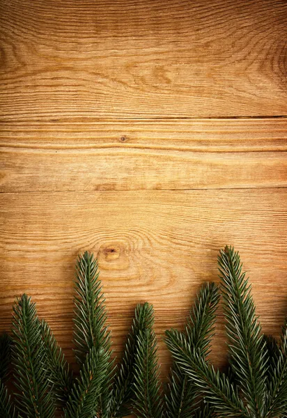 Vánoční strom jedle — Stock fotografie