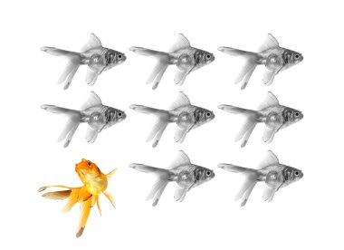 Gold fish clipart