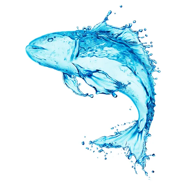 Water fish splash — Stock Photo, Image