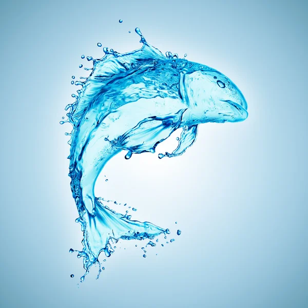 Water fish splash — Stock Photo, Image