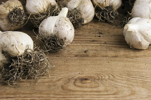 Garlic — Stock Photo, Image