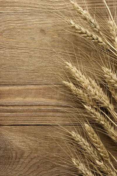 Шип пшеницы — стоковое фото