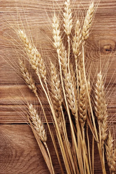 Espiga de trigo —  Fotos de Stock