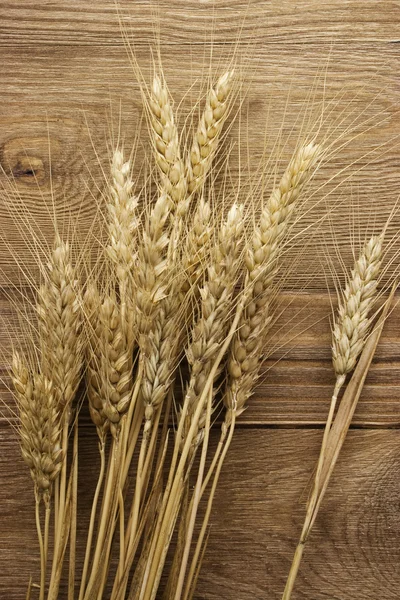 Espiga de trigo — Foto de Stock