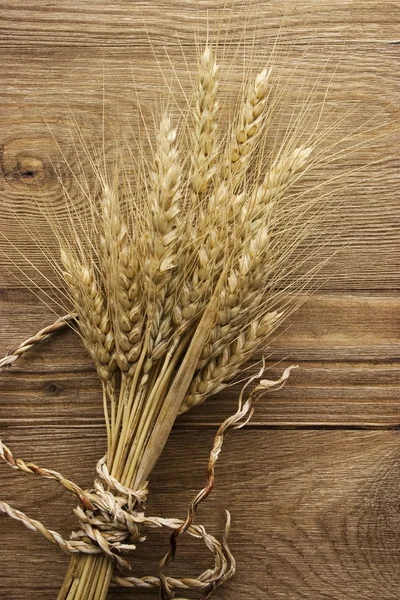 Buğday Başak — Stok fotoğraf