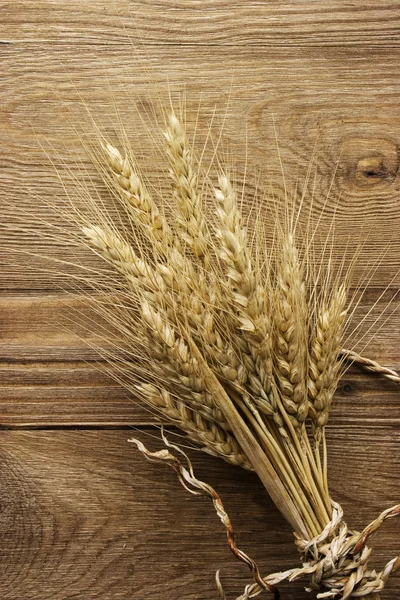 Espiga de trigo —  Fotos de Stock