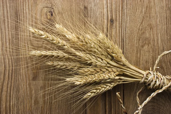 穗的小麦 — 图库照片