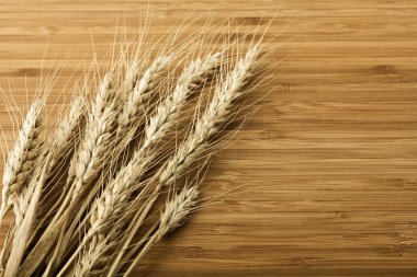 Spike of wheat clipart