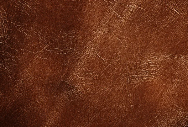 Leather texture Stock Photos, Royalty Free Leather texture Images ...