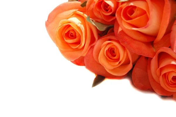 A bunch of orange roses — Stock Photo, Image