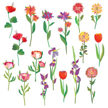 Flowers set clipart