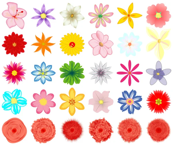 Una colección de flores para el diseño . — Vector de stock