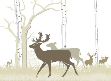 Fallow deer and red deer clipart