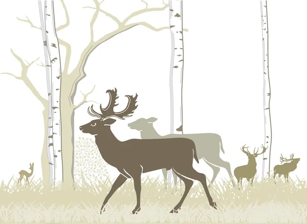 Fallow deer and red deer — Stock Vector