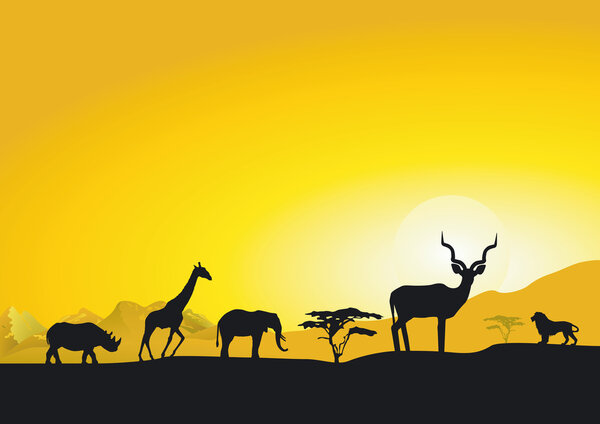 Evening in Africa