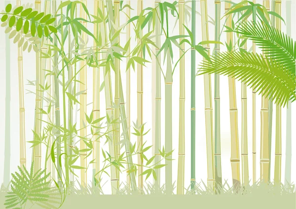 Бамбуковый лес — стоковый вектор
