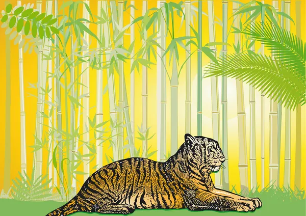 Tigre asiático na selva —  Vetores de Stock
