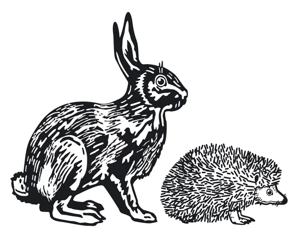 Кролик и ёжик — стоковый вектор