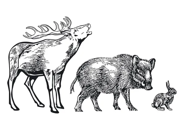 Lesní zvířata — Stockový vektor