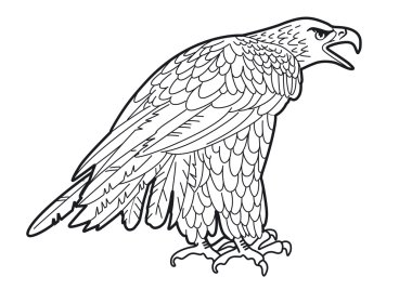 Eagle graphics clipart