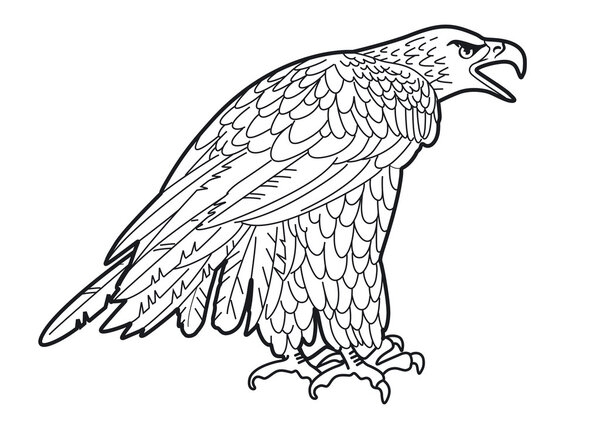 Eagle graphics