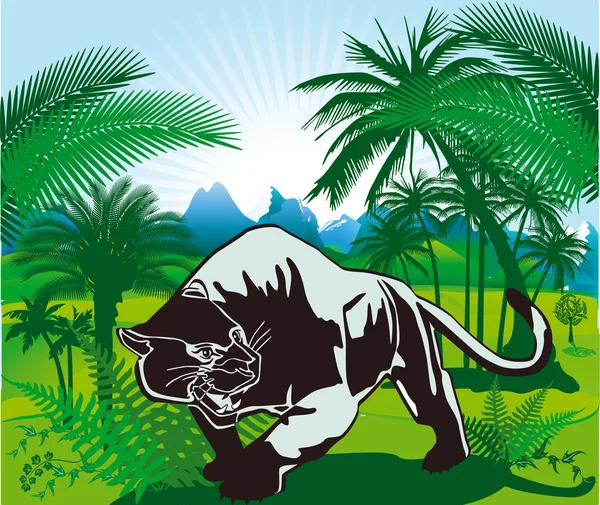 Dżungla i panter — Wektor stockowy