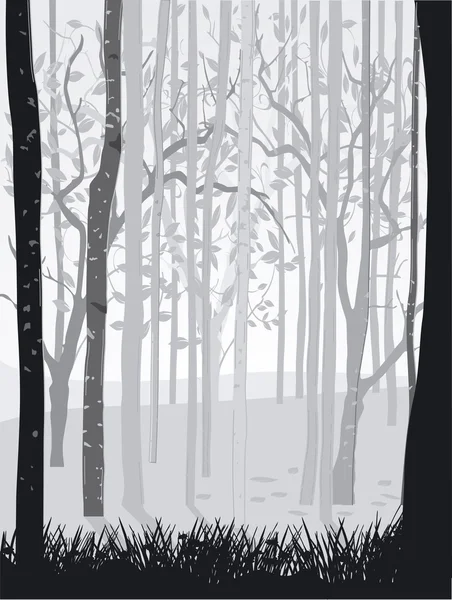 Svart skogen vit — Stock vektor
