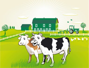 Cows on pasture clipart