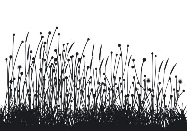 Grasses clipart